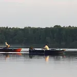 Eichelhaeher