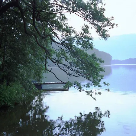 Eichelhaeher * 佐森