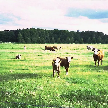 Σπίτι διακοπών Eichelhaeher *