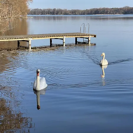 Eichelhaeher * 佐森