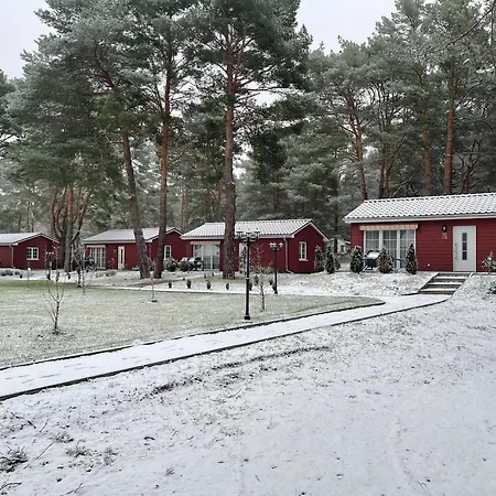Eichelhaeher Zossen