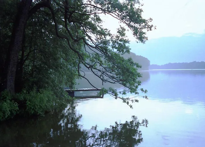 Eichelhaeher * Zossen