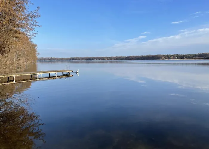 Eichelhaeher * Zossen