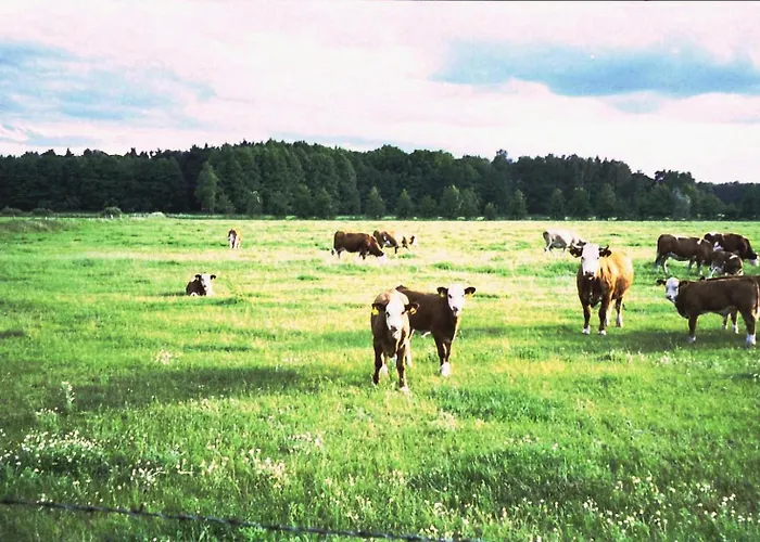 Vakantiehuis Eichelhaeher *