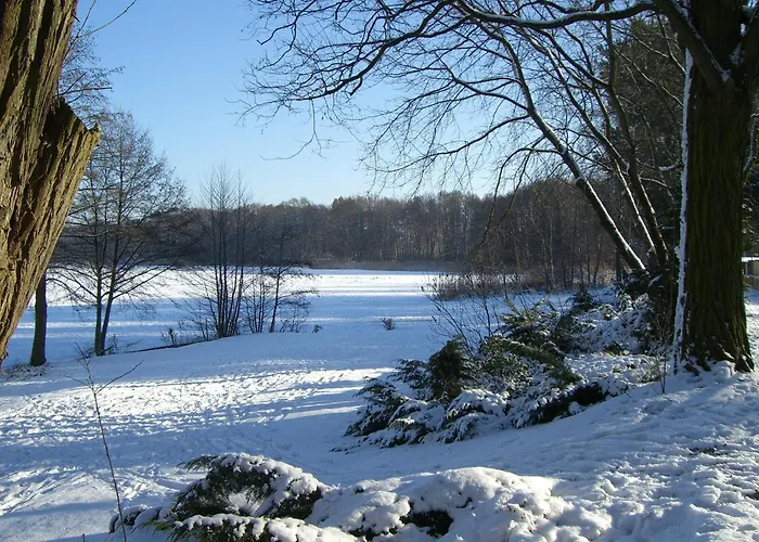 Vakantiehuis Eichelhaeher