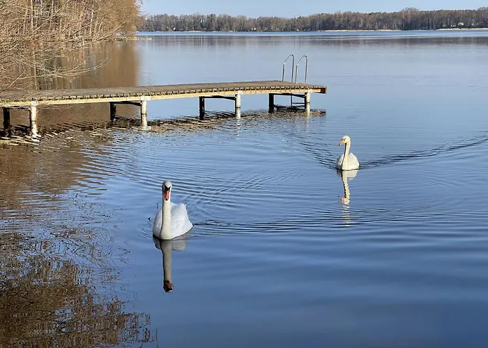 Eichelhaeher * Zossen